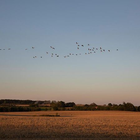 Mitten In Der Natur : Ferienwohnung Mit 3 Schlafzimmern, Neu Eingerichtet Neu Gaarz エクステリア 写真