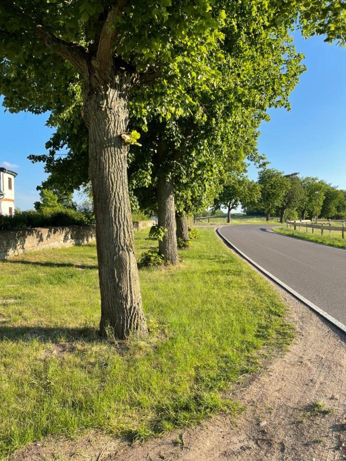 Mitten In Der Natur : Ferienwohnung Mit 3 Schlafzimmern, Neu Eingerichtet Neu Gaarz エクステリア 写真